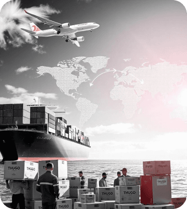 International Moving Platform